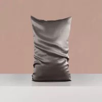Custom and Wholesale Queen Size Pillow Case 100% Mulberry Silk for Hair And Face Beauty From Factory