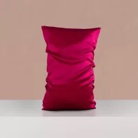 Custom and Wholesale Queen Size Pillow Case 100% Mulberry Silk for Hair And Face Beauty From Factory